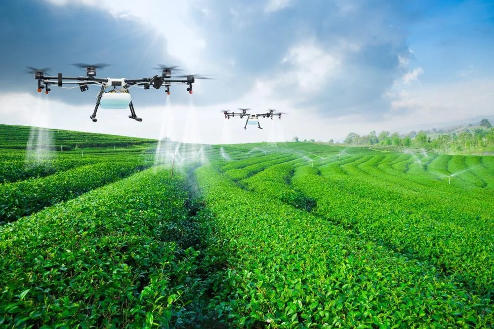 Agriculture